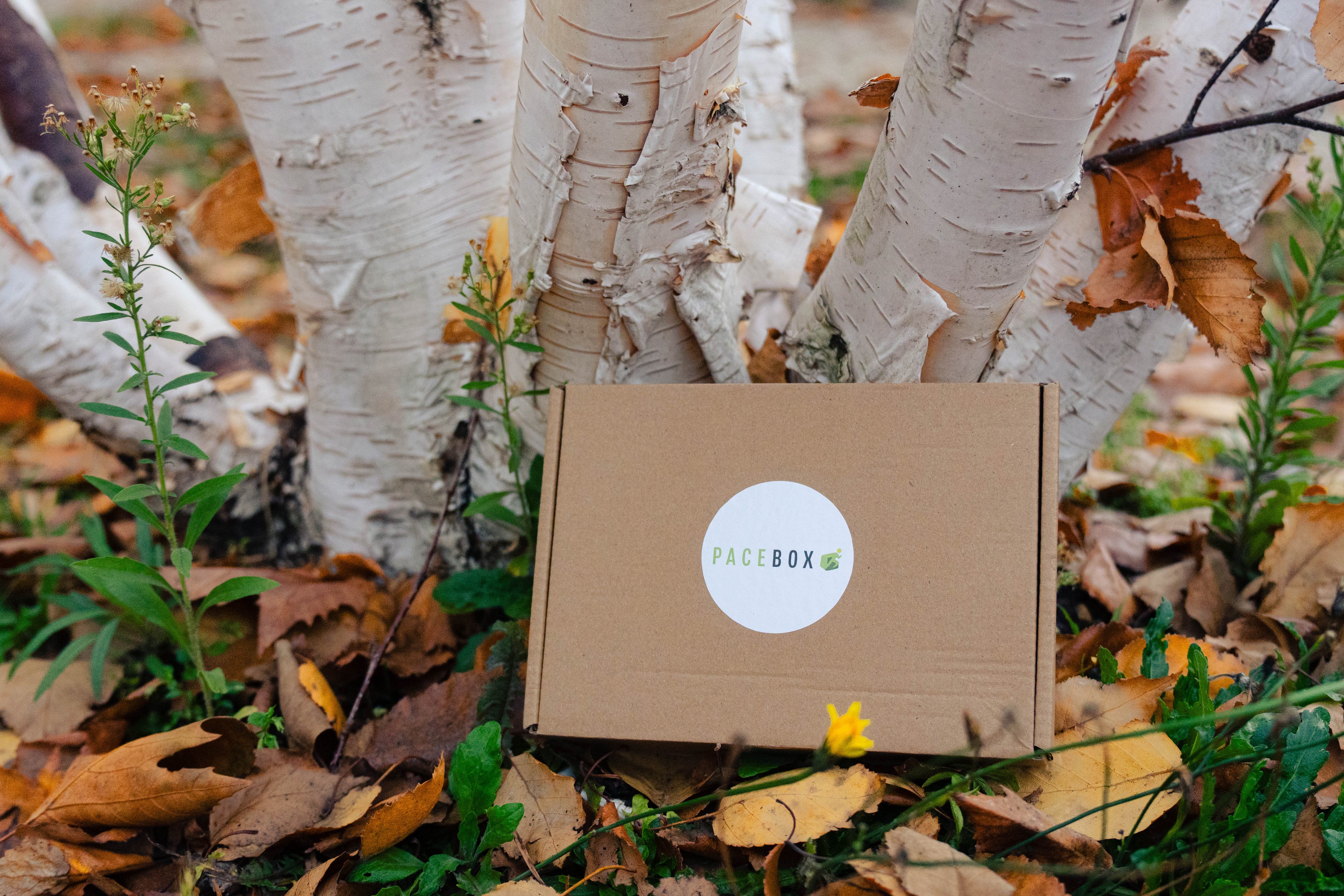 Carte-cadeau Pacebox