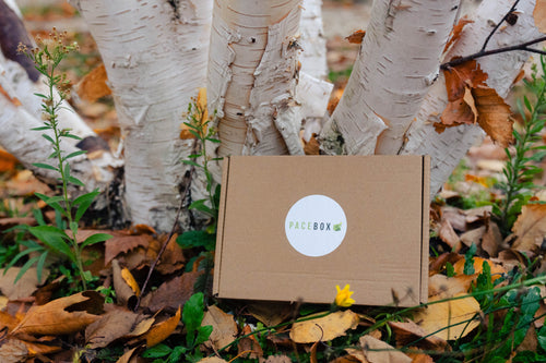 Carte-cadeau Pacebox
